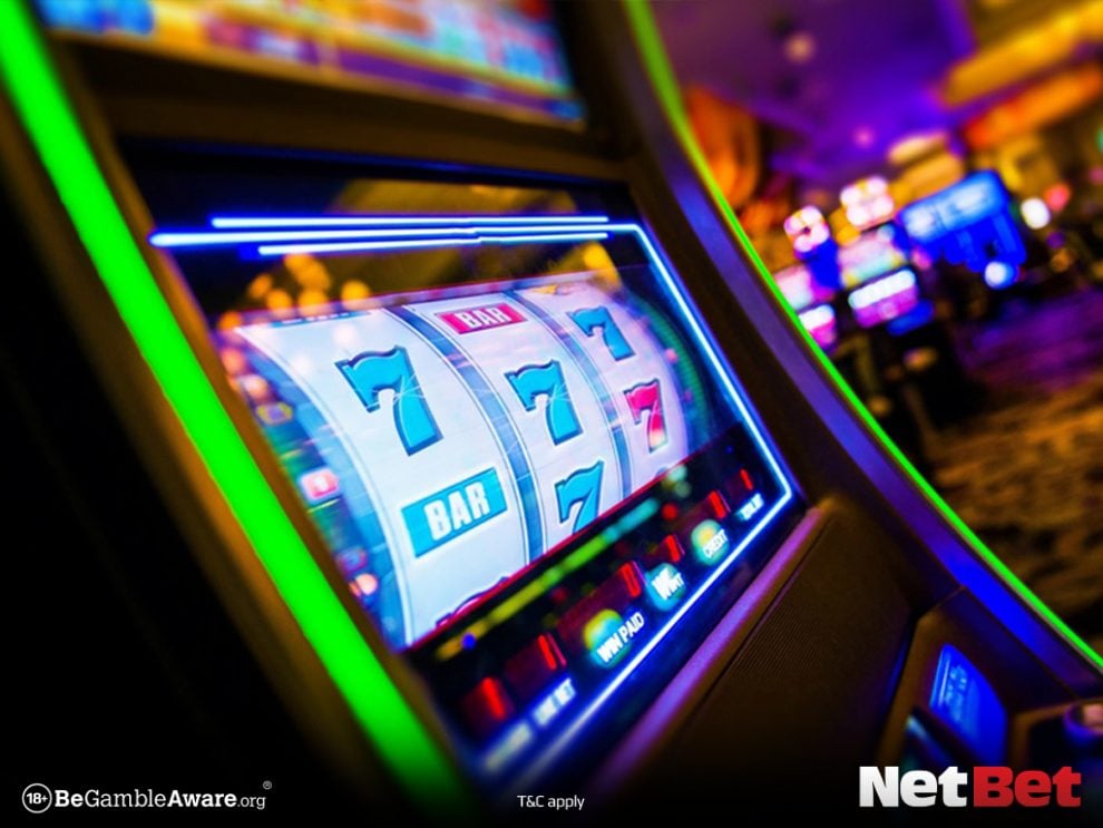 w79|Não perca bingo online certificado Participe Já
